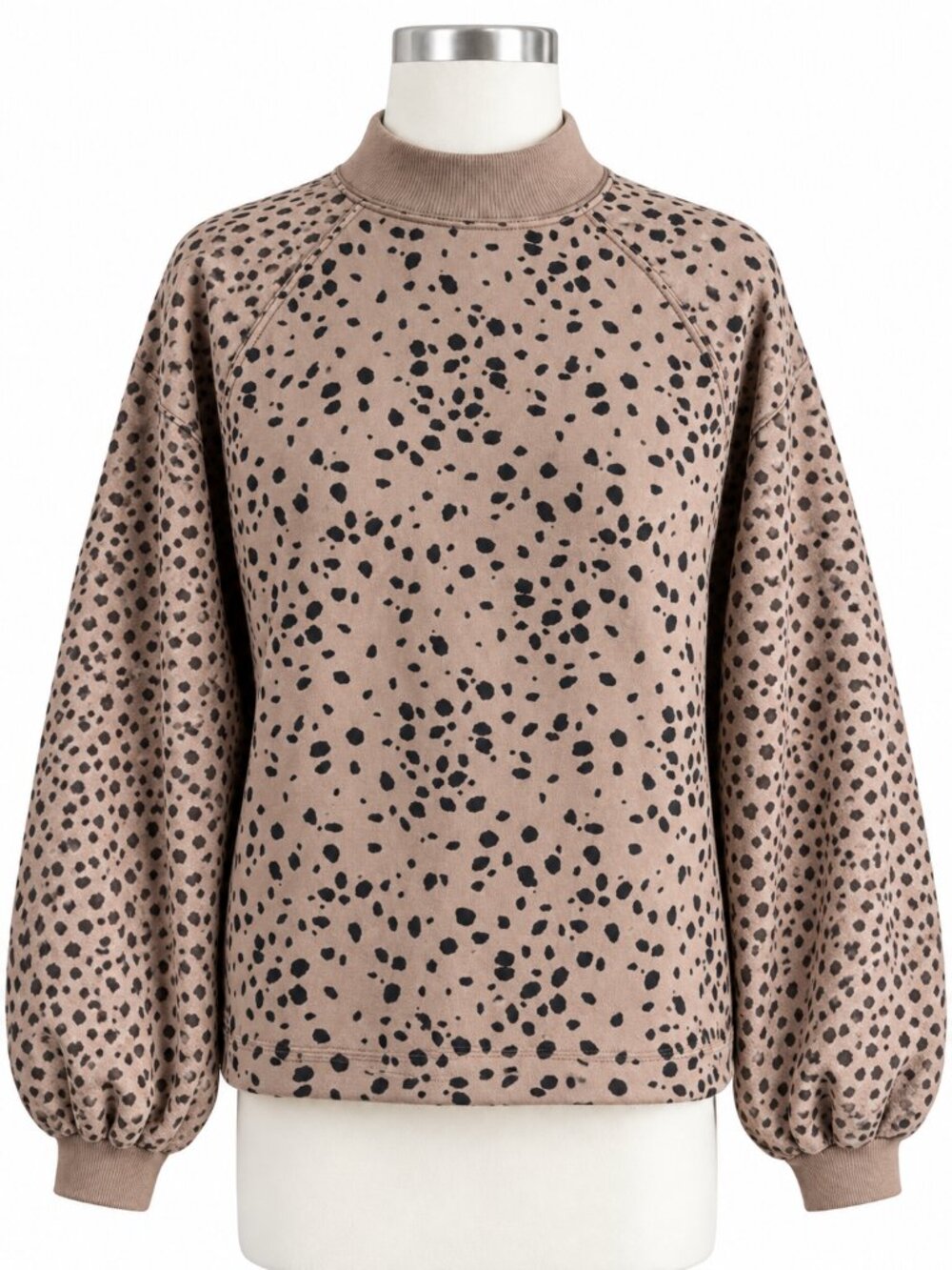 ABERCROMBIE & FITCH Womens Tan Black Cropped Sweatshirt XS Leopard Print Preppy